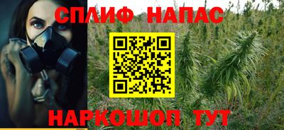тгк Гатчина