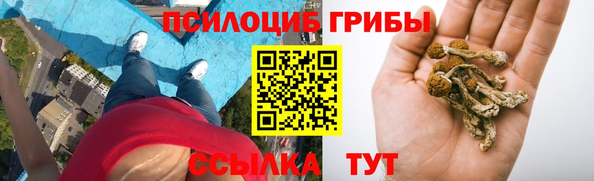 Псилоцибиновые грибы мухоморы Карабулак